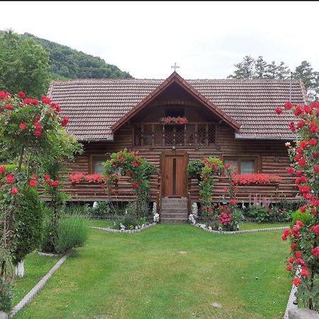 Hotel Casa Bunicii Costeşti Exterior foto