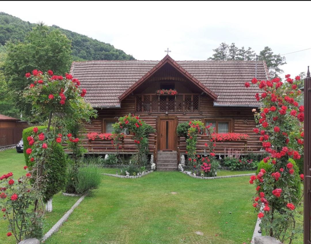 Hotel Casa Bunicii Costeşti Exterior foto